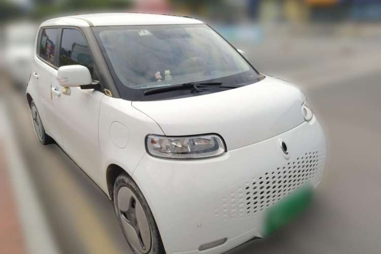 Used ORA White Cat 2020 360 km Luxury Version
