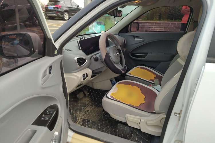 Used ORA White Cat 2020 360 km Luxury Version
