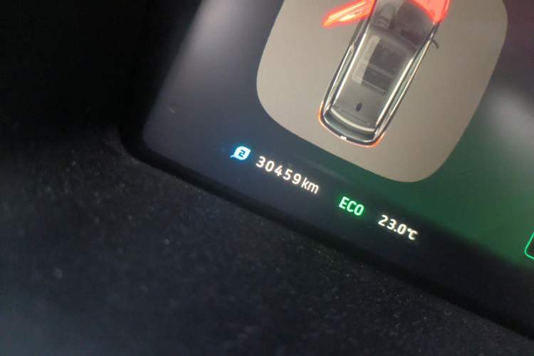 Used WM Motor EX5 2019 EX5 Lite Exploration Edition 520
