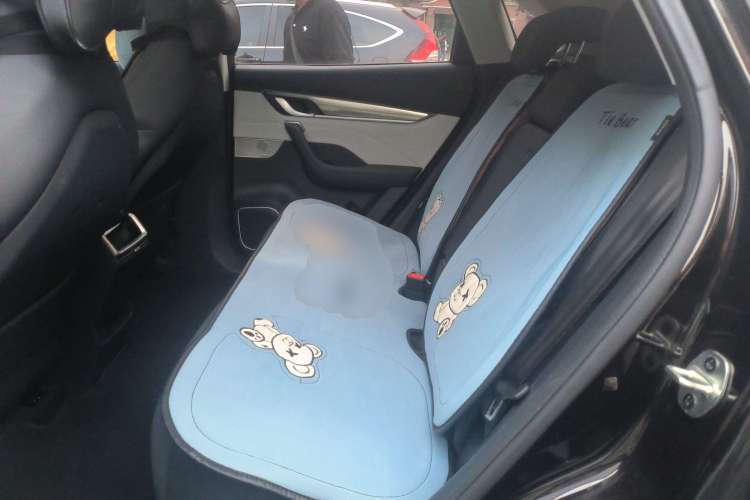 Used WM Motor EX5 2019 EX5 Lite Exploration Edition 520
