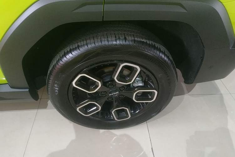 Used Haval X DOG 2022 1.5T DCT Four-Wheel Drive Trendy Wild Edition
