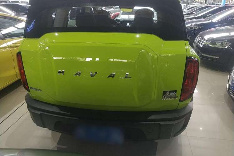 Used Haval X DOG 2022 1.5T DCT Four-Wheel Drive Trendy Wild Edition
