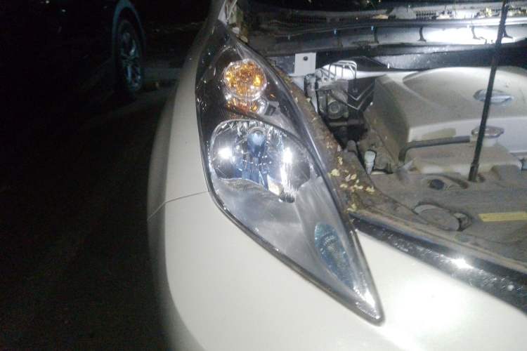 Used Venucia Leaf 2014 Navigation Version 6.6 KW