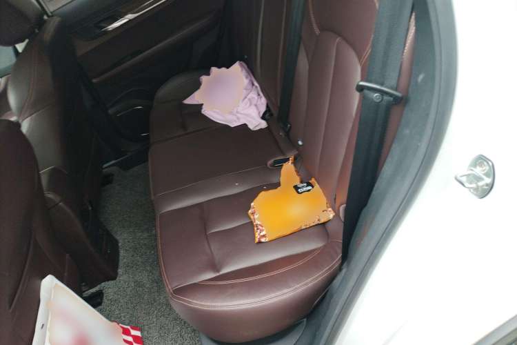 Used Hanteng X5 New Energy 2019 Flagship Edition