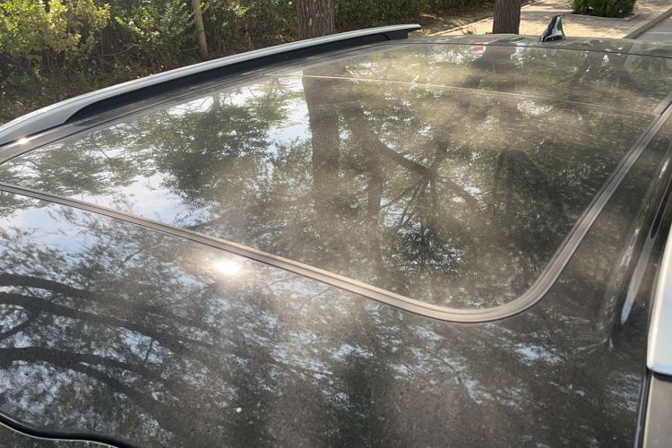 Used Kia Seltos 2023 1.5L CVT Luxury Edition
