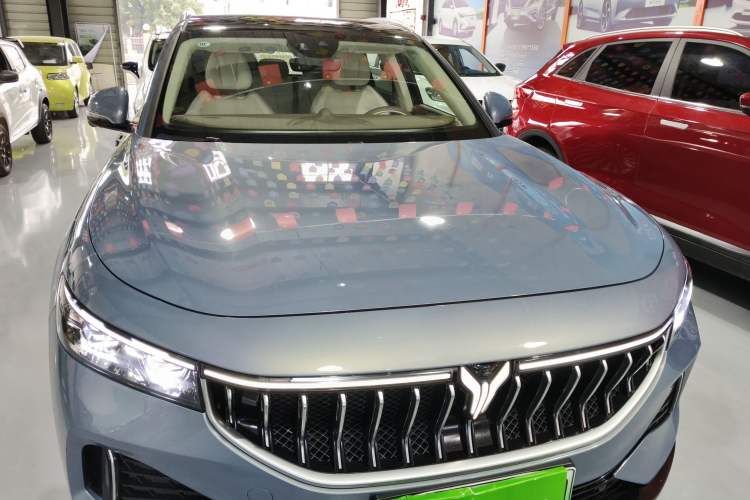 Used VOYAH FREE 2021 Four-Wheel Drive Standard Range-Extended Exclusive Luxury Package
