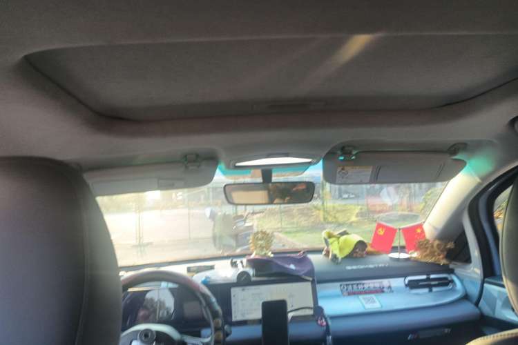 Used Geometry E  Headliner