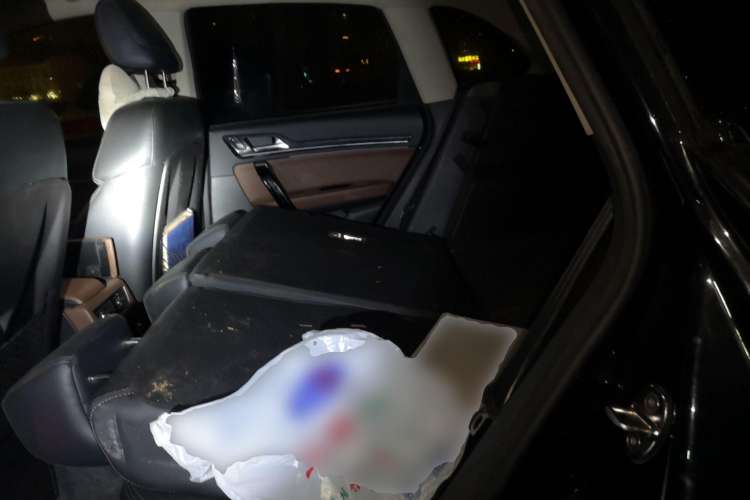 Used Zotye T600 Coupe 2017 1.5T Automatic Luxury Model Left Rear Seat