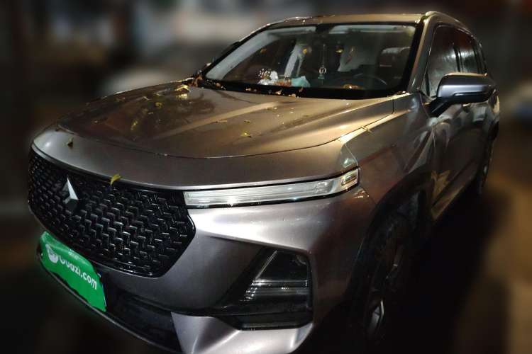 Used Baojun RS-5 2019 1.5T CVT Intelligent Driving Luxury Edition China V