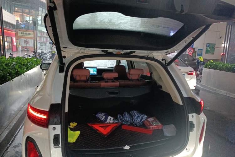 Used Skyworth HT-i 2022 1.5L PHEV 205KM President Edition
