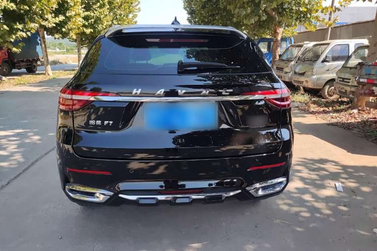 Used Haval F7 2020 2.0T Two-Wheel Drive i-Van