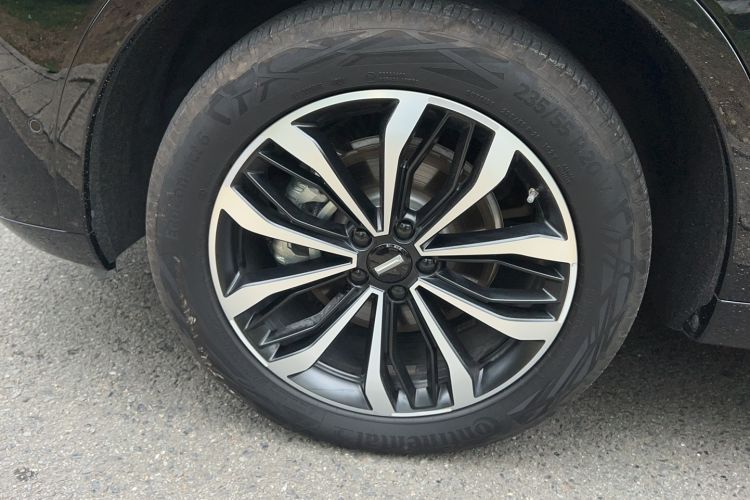 Used Wey Mocha 2021 2.0T Two-Wheel-Drive Premium Edition
