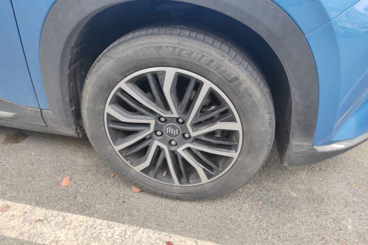 Used WM Motor W6 2021 520km PRO All-Round Edition