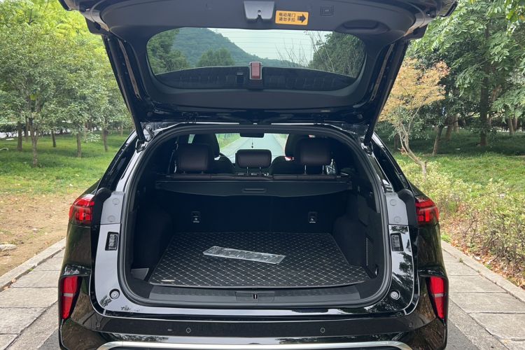 Used Wey Mocha 2021 2.0T Two-Wheel-Drive Premium Edition
