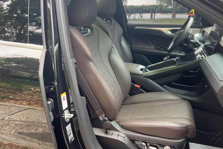 Used Wey Mocha 2021 2.0T Two-Wheel-Drive Premium Edition
