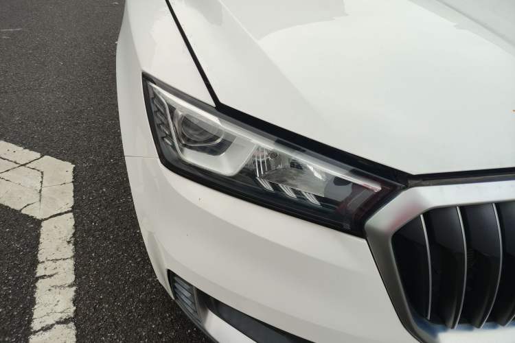 Used BORGWARD BX5 2020 20TGDI Automatic Two-Wheel Drive Pioneer Edition
