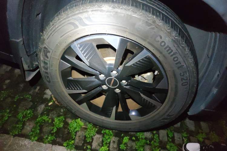 Used EXEED Lingyun 2021 290T Two-Wheel Drive Star Edition
