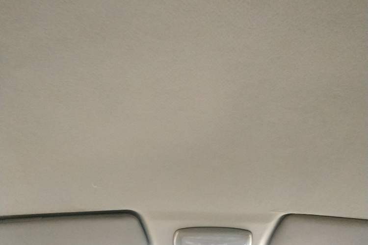 Used JAC Refine 2008 2.4L Colorful Journey Gasoline Manual Basic Version HFC4GA1-C
