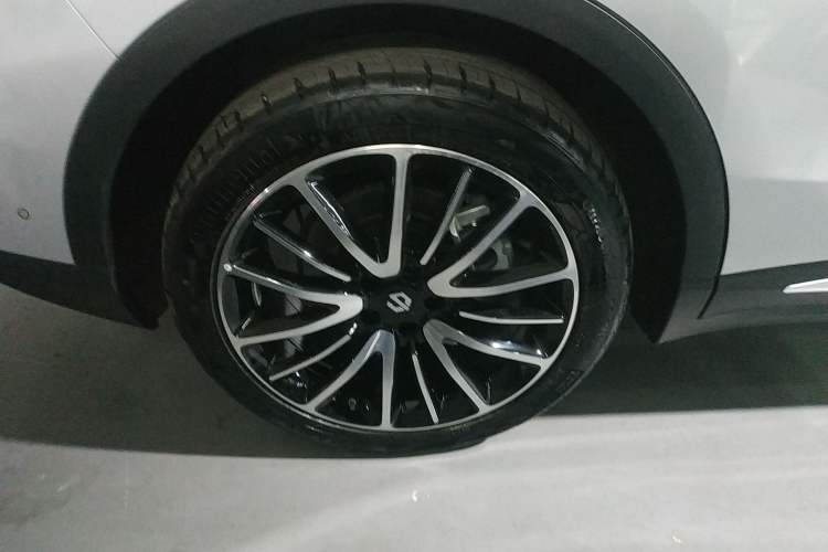 Used Leapmotor C11 2021 Performance Edition