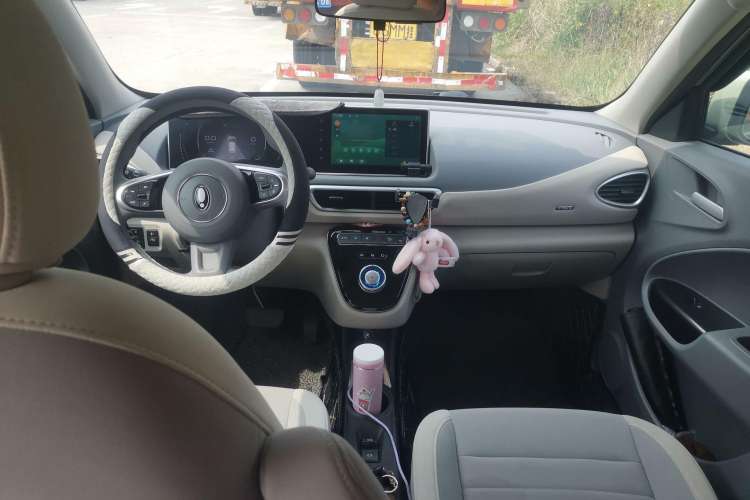 Used ORA White Cat 2022 Upgraded Model 305km Range Luxury Version Lithium-Ion Battery
