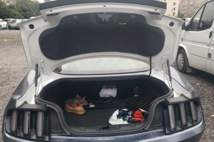 Used Ford Mustang 2015 2.3T Performance Edition
