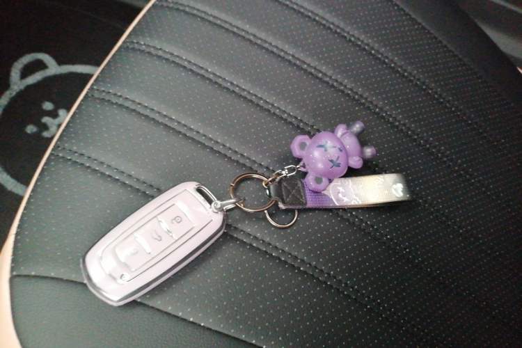 Used Geely Auto Panda Classic 2023 Panda Mini 200km Endurance Bear