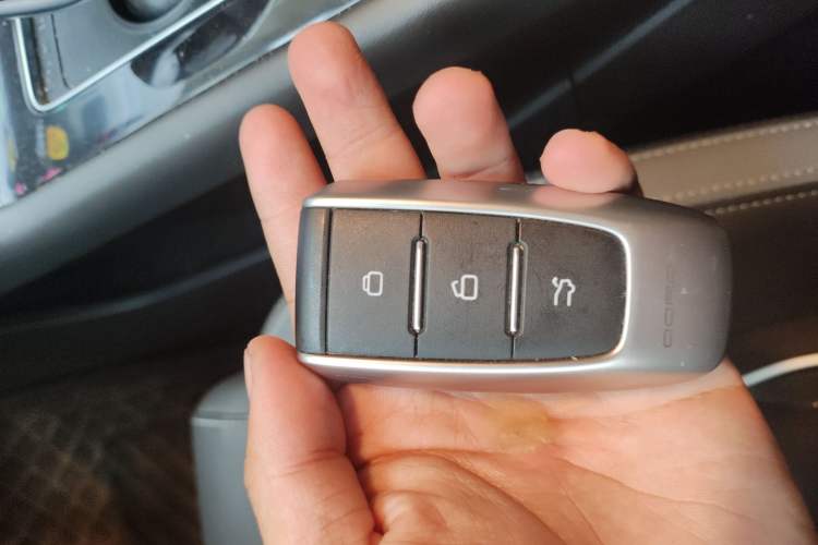 Used Qoros 7 2020 1.6T Cruise Luxury Model
