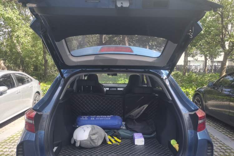 Used WM Motor EX5 2020 EX5-Z Fun Dynamic Edition
