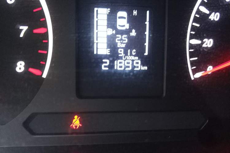 Used FORTHING Lingzhi PLUS 2021 2.0L Manual Luxury 7-Seater