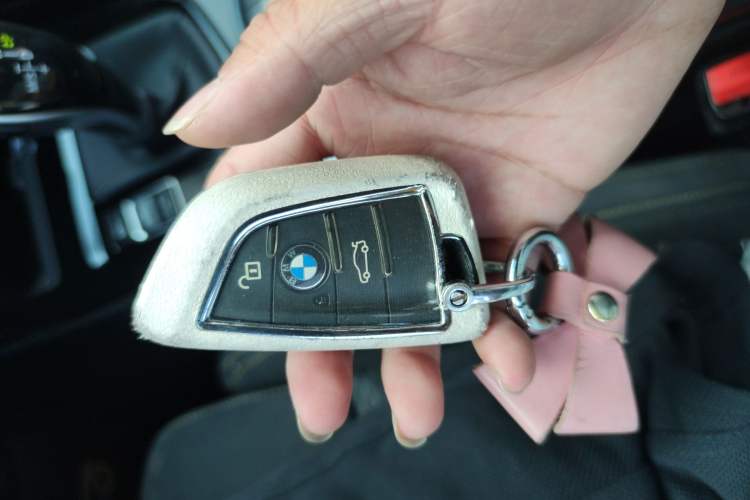 Used BMW X2 2018 sDrive25i Luxury Model with M Off-Road Package China V Emission Standard
