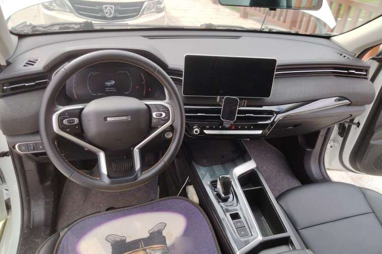 Used Haval LHERY 2022 Jingxiang Edition 1.5T Copper Rabbit