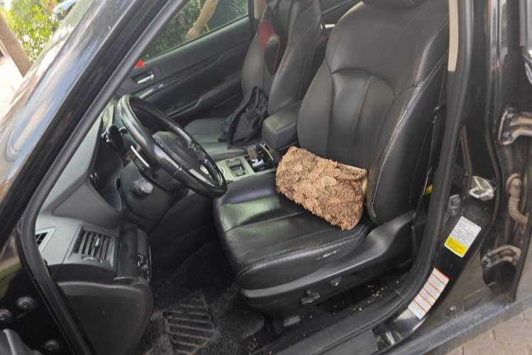 Used Subaru Outback 2012 2.5i Sport Edition
