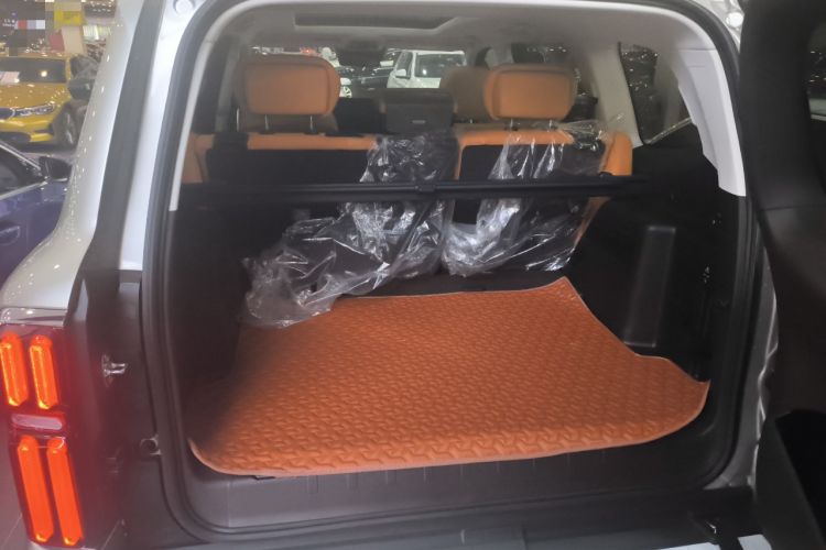 Used Tank 500 2022 3.0T Sport Edition "Creation" Version 5-Seater
