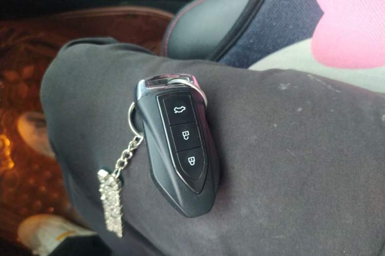 Used Leopaard CS10 2017 2.0T Automatic Luxury Model