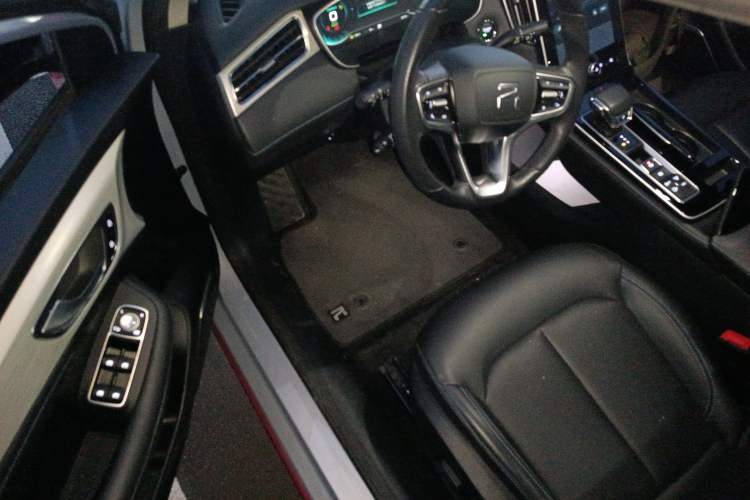 Used Rising ER6 2021 New Dynamic Edition 620km Smart Enjoyment Version