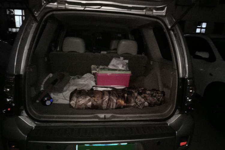 Used Dongfeng Oting 2007 2.4L Automatic Two-Wheel Drive Luxury Edition
