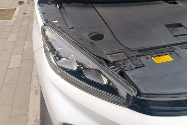 Used WM Motor EX5 2019 EX5 Lite Exploration Edition 520
