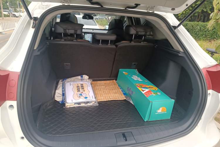 Used WM Motor EX5 2019 EX5 Lite Exploration Edition 520
