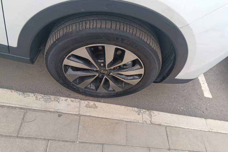 Used WM Motor EX5 2019 EX5 Lite Exploration Edition 520
