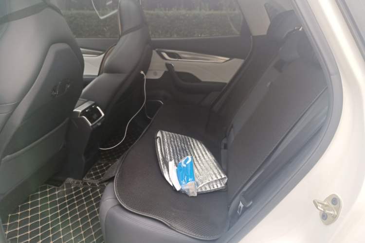 Used WM Motor EX5 2019 EX5 Lite Exploration Edition 520
