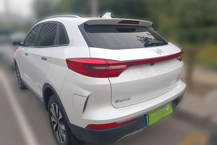 Used WM Motor EX5 2019 EX5 Lite Exploration Edition 520
