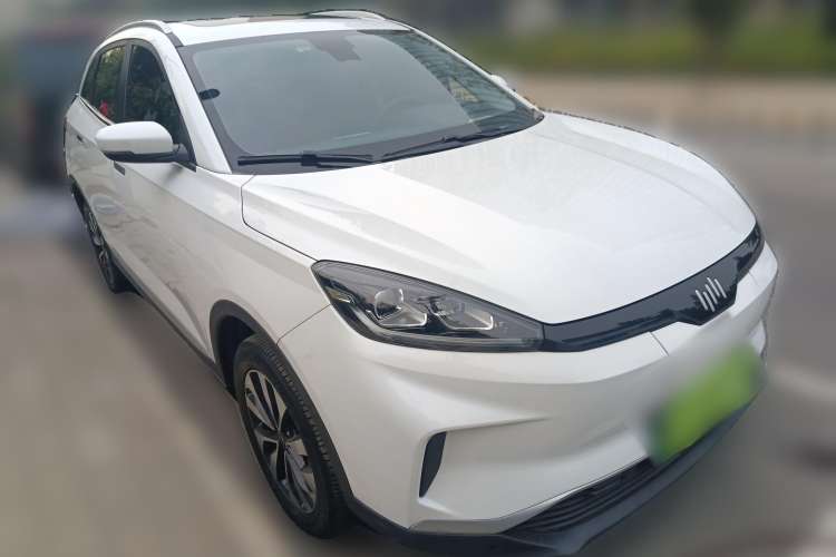 Used WM Motor EX5 2019 EX5 Lite Exploration Edition 520
