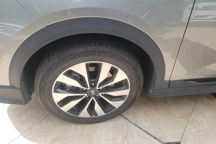 Used WM Motor EX5 2020 EX5-Z Nex Exploration Edition
