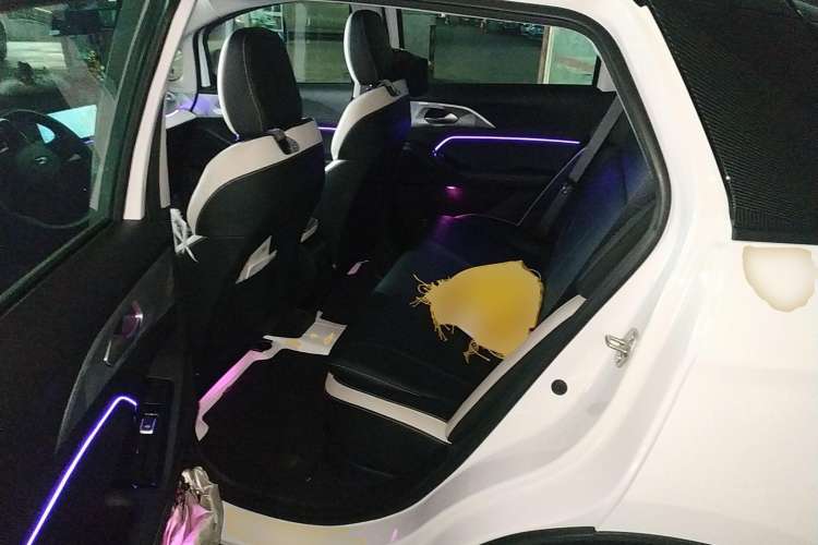 Used Geometry E 2022 401 km Linglong Tiger 4 Seats
