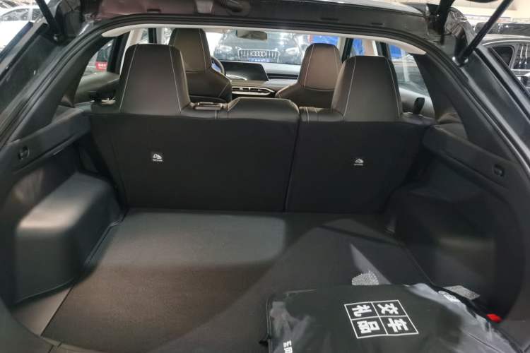 Used Venucia V 2023 260T Black Horse Edition Pro
