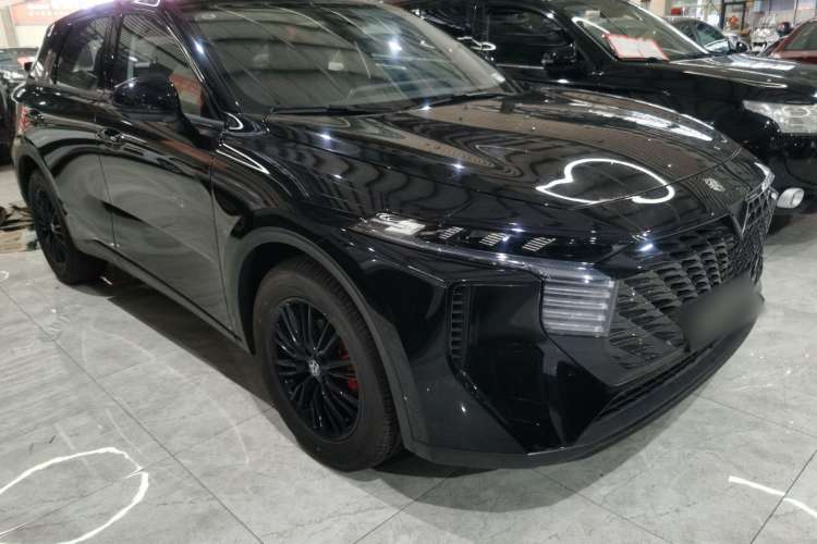 Used Venucia V 2023 260T Black Horse Edition Pro
