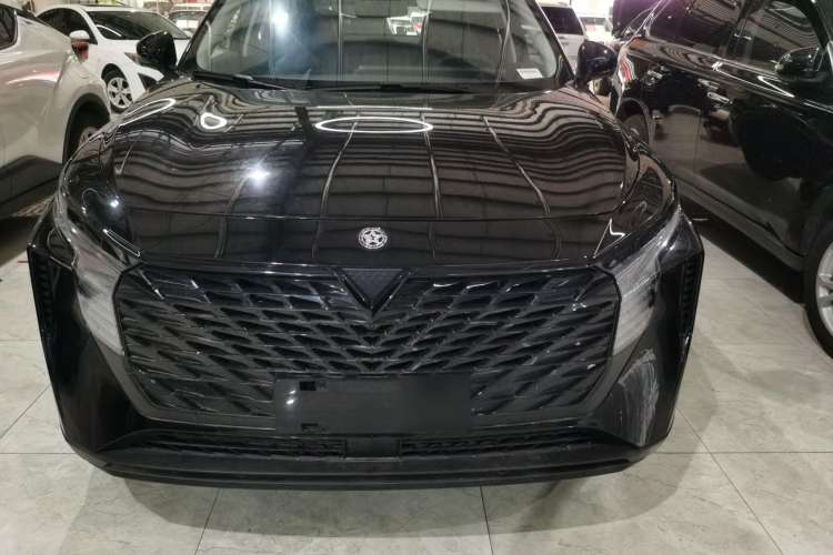 Used Venucia V 2023 260T Black Horse Edition Pro
