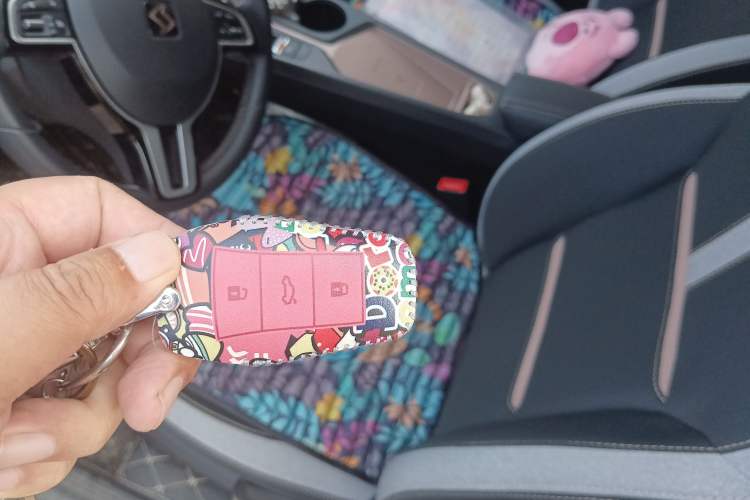 Used SOL E10X 2021 302 km Range Luxury Version 31.4 kWh