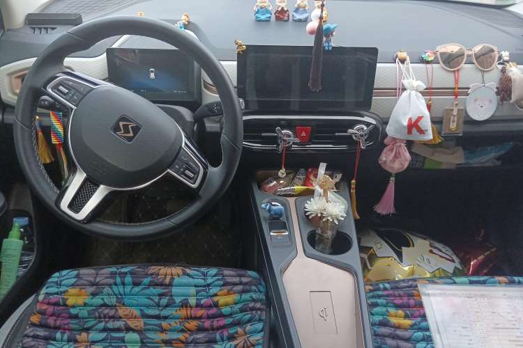 Used SOL E10X 2021 302 km Range Luxury Version 31.4 kWh