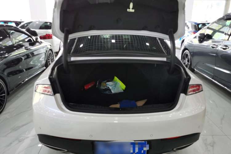 Used Lincoln MKZ 2020 2.0T MONO Limited Luxury Edition MONO WHITE